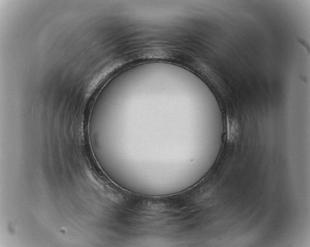 X0000103270531200809122138