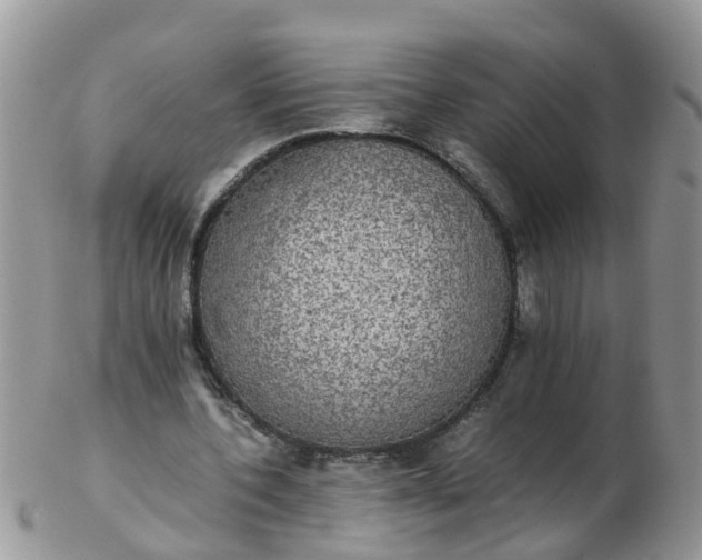 X0000103270532200809122138