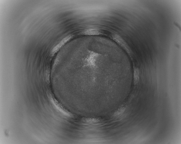 X0000103270533200809122138