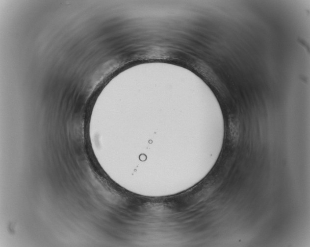 X0000103270534200809122138