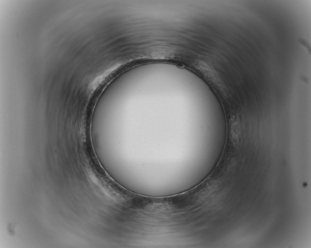 X0000103270536200809122138