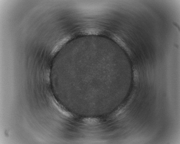 X0000103270537200809122138