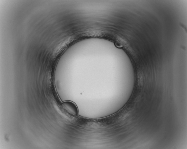 X0000103270538200809122138