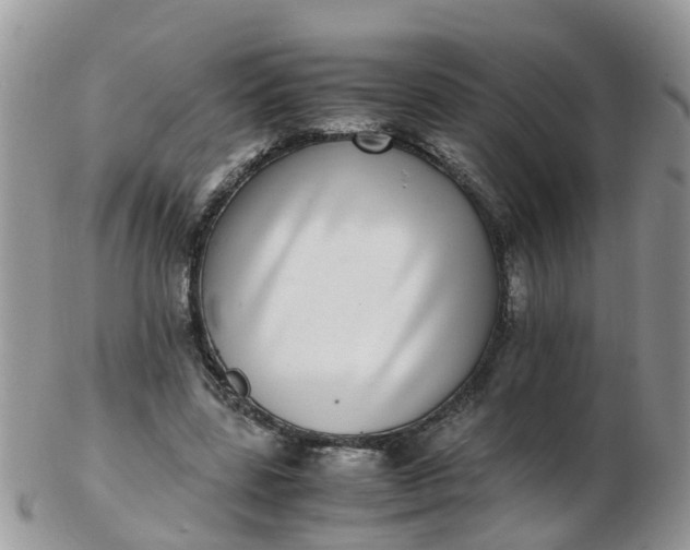 X0000103270539200809122138