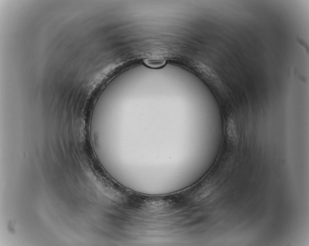 X0000103270540200809122138