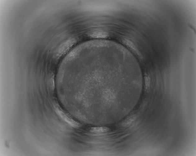 X0000103270541200809122138