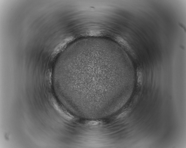 X0000103270542200809122138