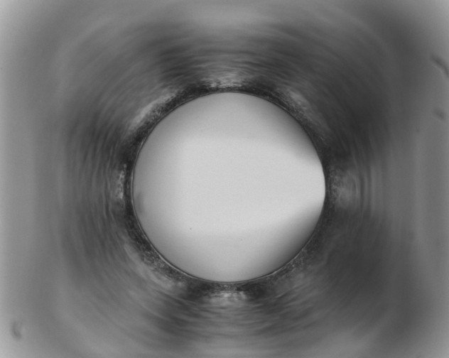 X0000103270543200809122138
