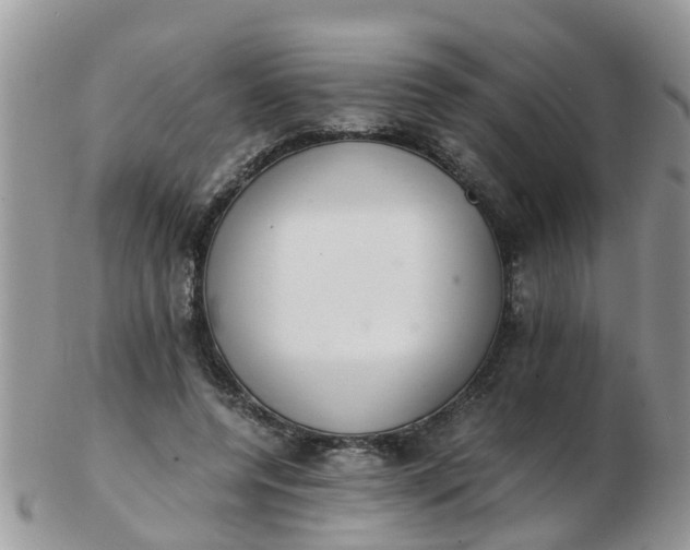 X0000103270544200809122138