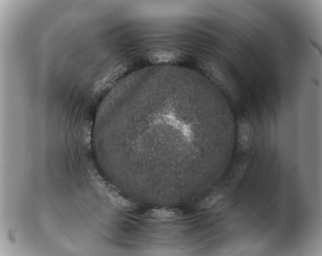 X0000103270545200809122138