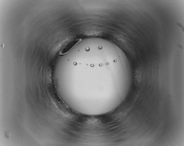 X0000103270547200809122138