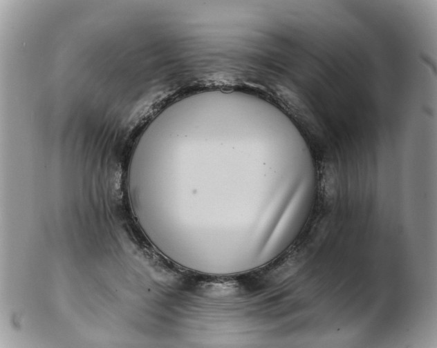 X0000103270548200809122138