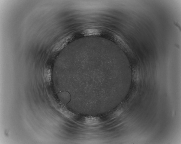 X0000103270549200809122138