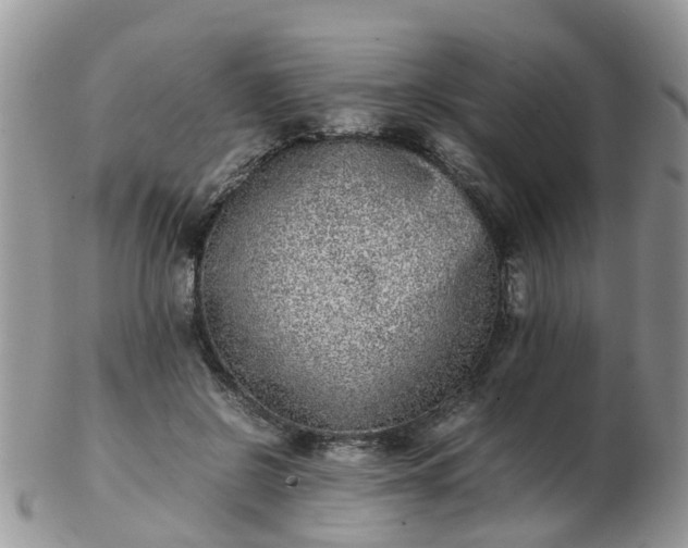 X0000103270550200809122138