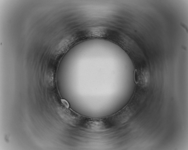 X0000103270552200809122138