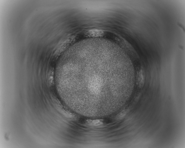 X0000103270553200809122138
