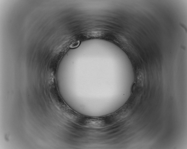 X0000103270555200809122138