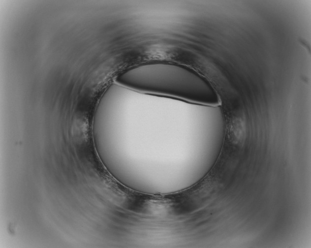 X0000103270556200809122138