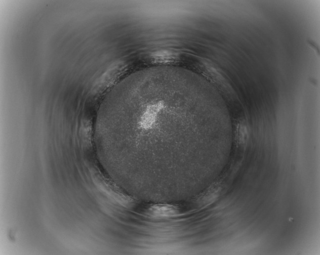 X0000103270557200809122138