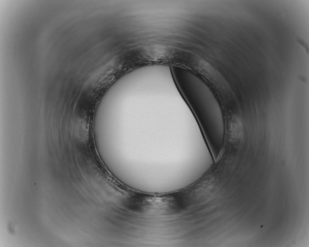 X0000103270558200809122138