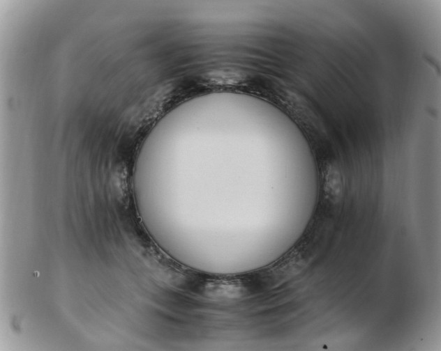 X0000103270559200809122138