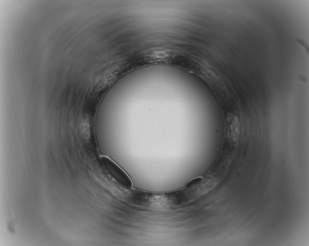 X0000103270562200809122138