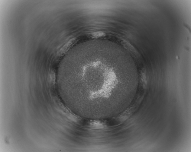 X0000103270565200809122138