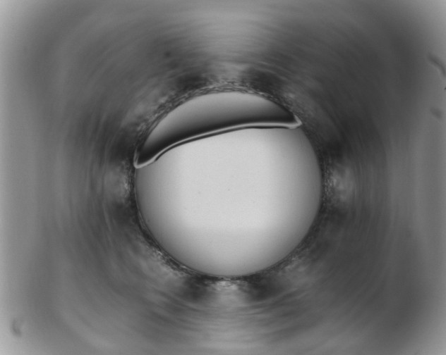 X0000103270566200809122138
