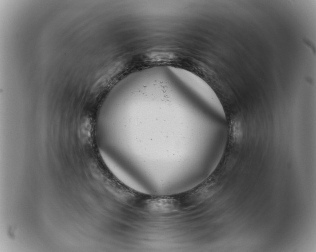X0000103270567200809122138