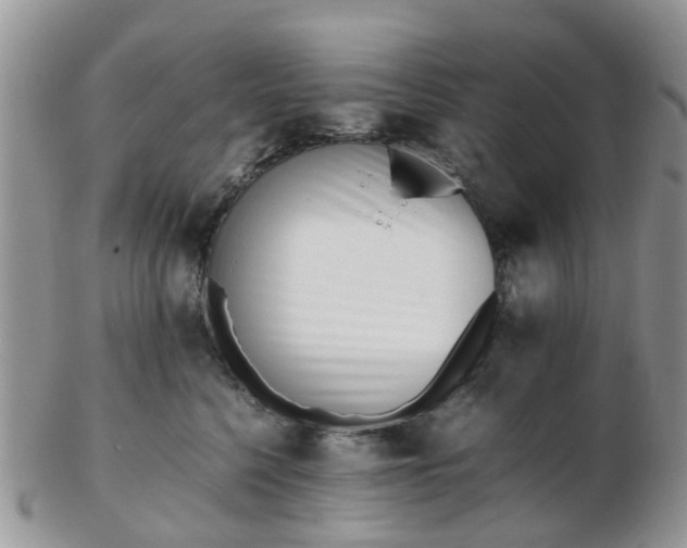 X0000103270568200809122138