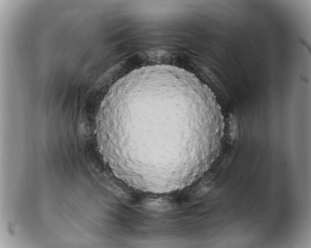 X0000103270569200809122138