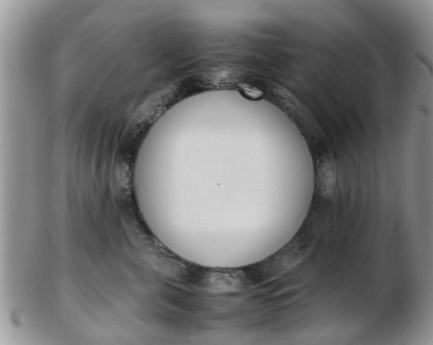 X0000103270571200809122138