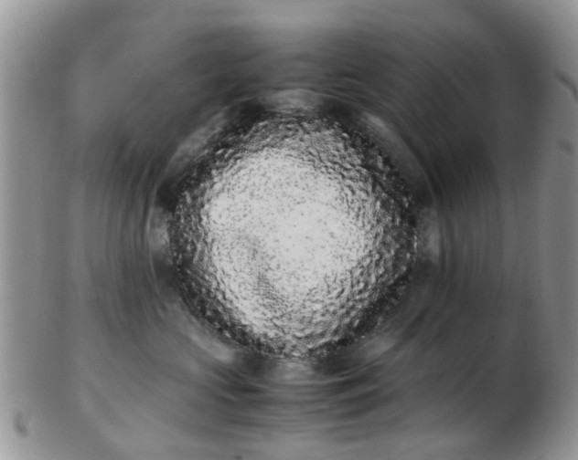 X0000103270573200809122138