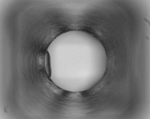 X0000103270576200809122138