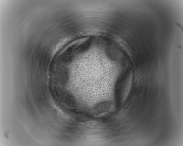 X0000103270578200809122138