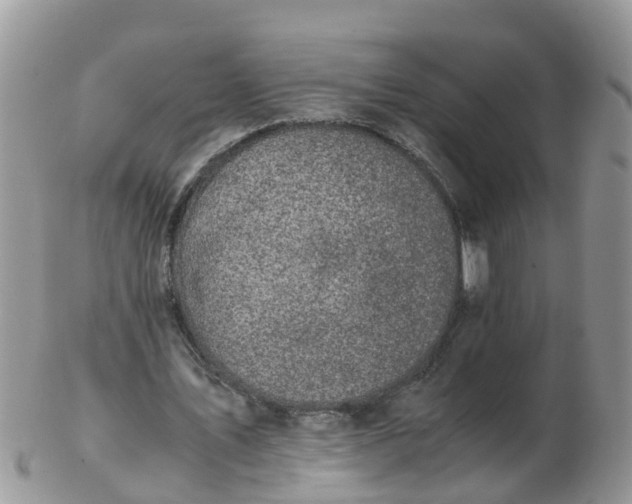 X0000103270579200809122138