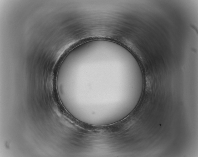 X0000103270580200809122138