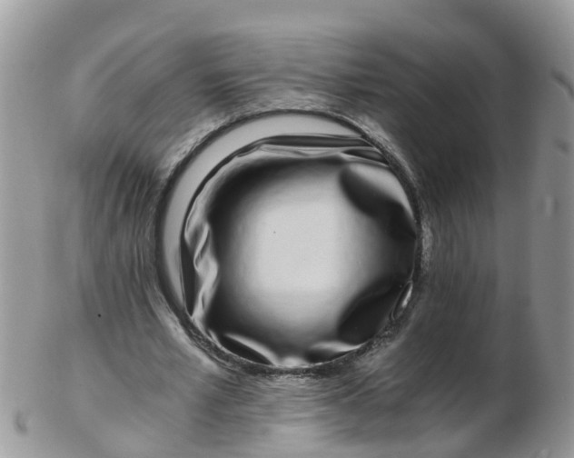 X0000103270581200809122138
