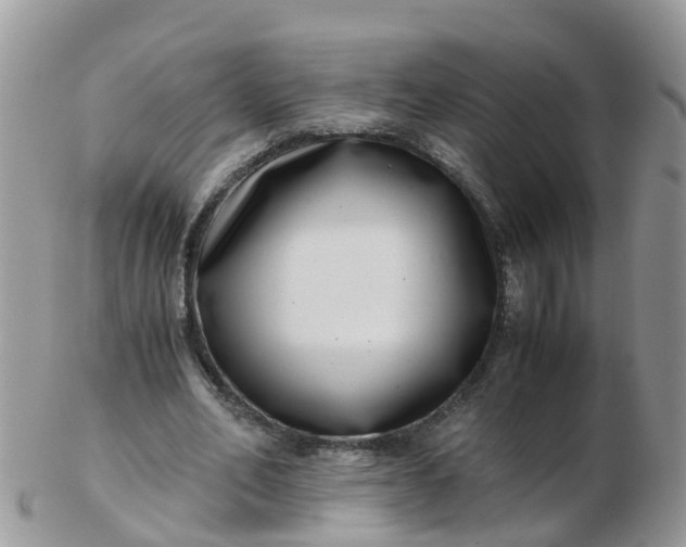 X0000103270582200809122138