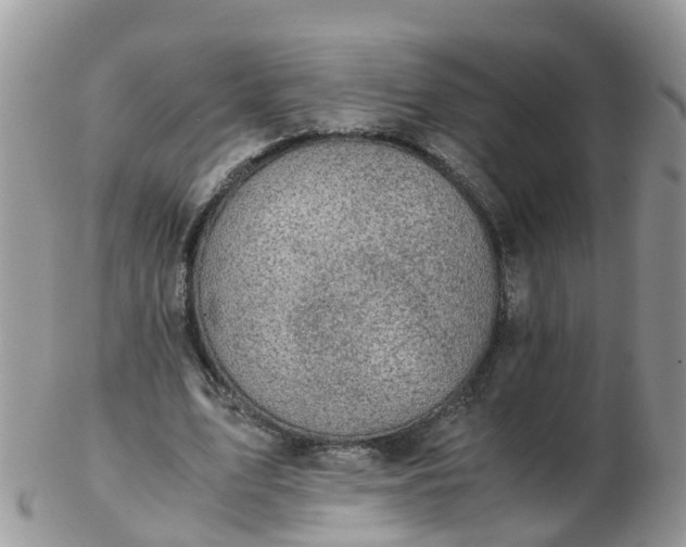 X0000103270583200809122138