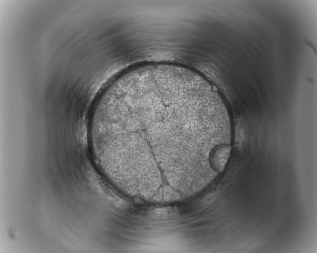 X0000103270584200809122138