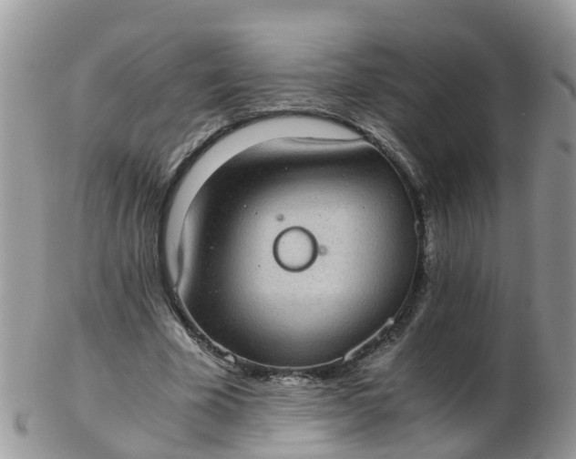 X0000103270585200809122138
