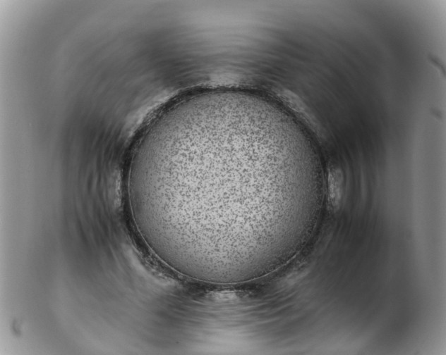 X0000103270588200809122137