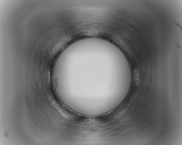 X0000103270589200809122137