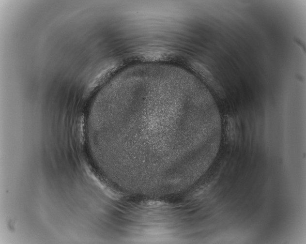 X0000103270590200809122137