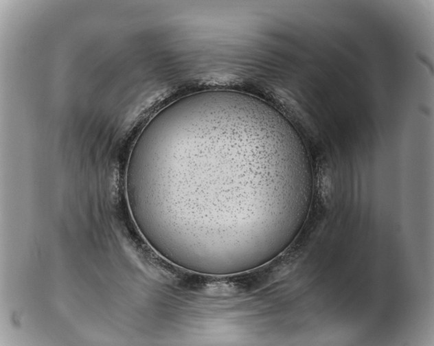 X0000103270591200809122137