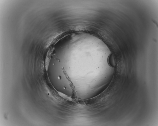 X0000103270592200809122137