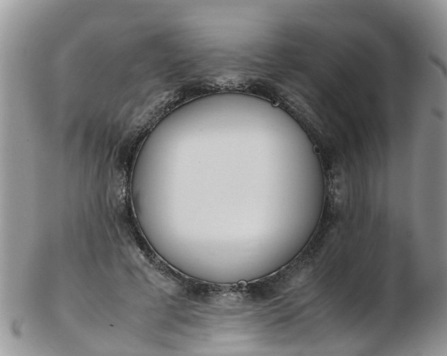 X0000103270593200809122137