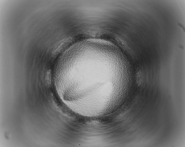 X0000103270594200809122137
