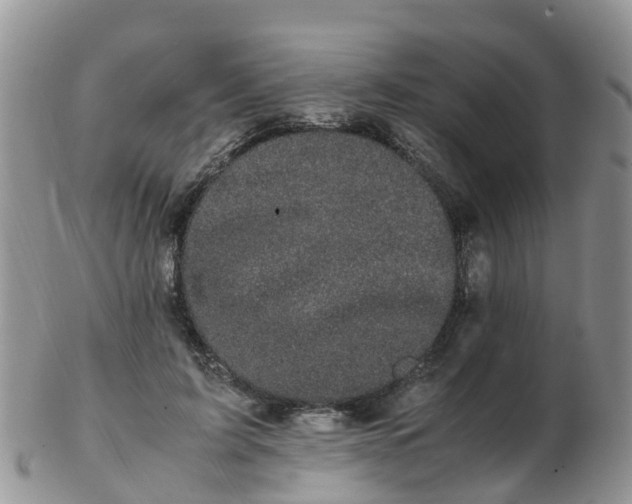 X0000103270595200809122137